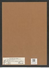 Coscinodiscus coronatus Castr. (de-Toni-Nr.: Genus 202, Species 5194) Zeichnungen Sammlung Grunow Mappe 04917 (Herbarium_W_Grunow_drawings_Folder_04917)